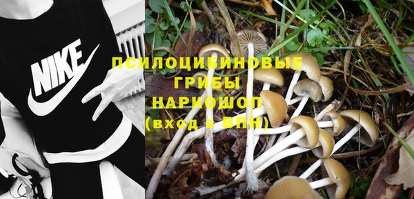 каннабис Беломорск