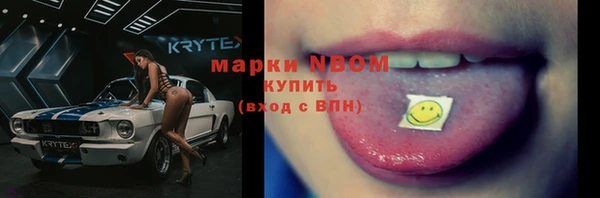СК Белокуриха