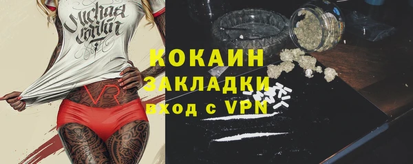 СК Белокуриха