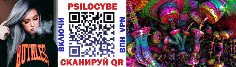 Псилоцибиновые грибы мицелий  хочу   нарко площадка наркотические препараты  Демидов 