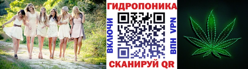 Каннабис Bruce Banner  Демидов 